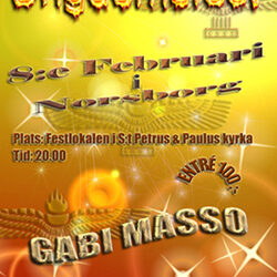 Ungdomsfest den 8 feb i Norsborg